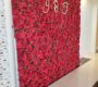 red-rose-flower-wall-rental