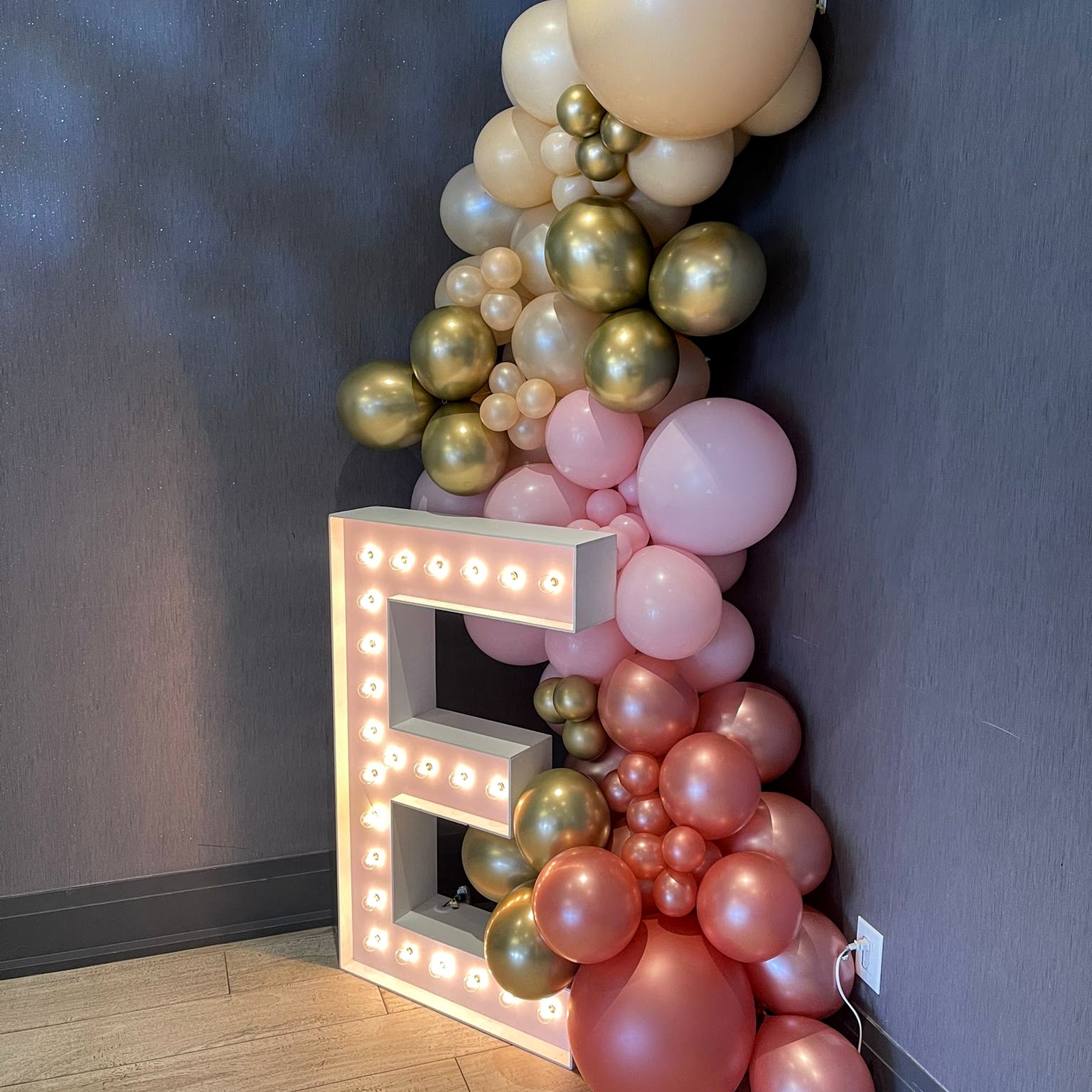 Marquee letter rental lights in Toronto birthday numbers in T