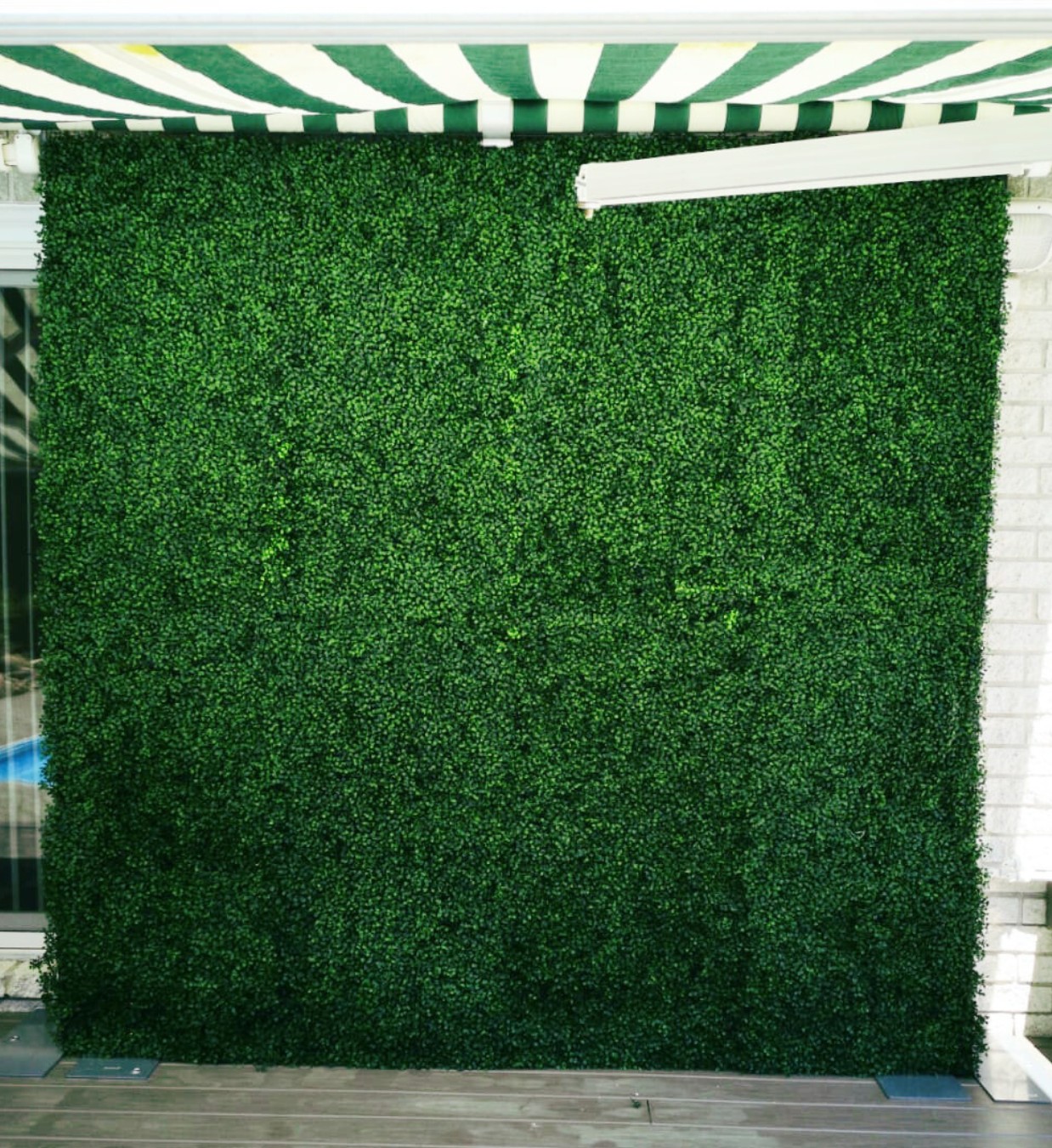 Green Boxwood Flower Wall Rental