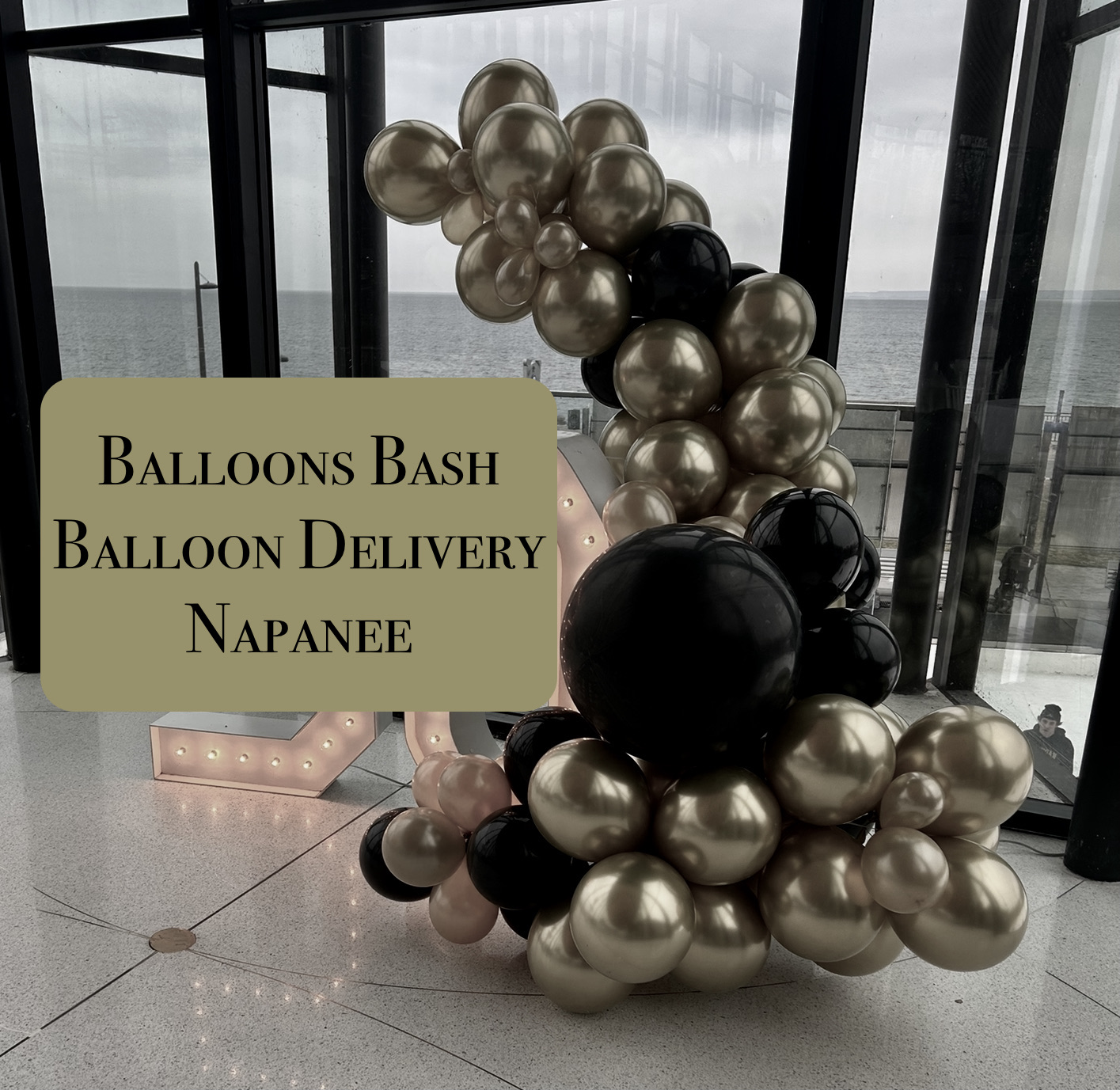 napanee balloon delivery company