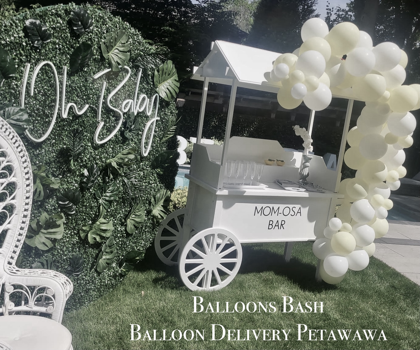 balloon delivery petawawa