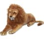 giant-stuffed-lion-rental