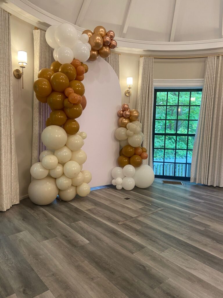 backdrop and balloon decor for parties