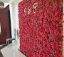 beautiful-rose-flower-wall-rental